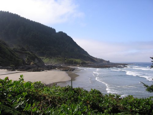 The Cove